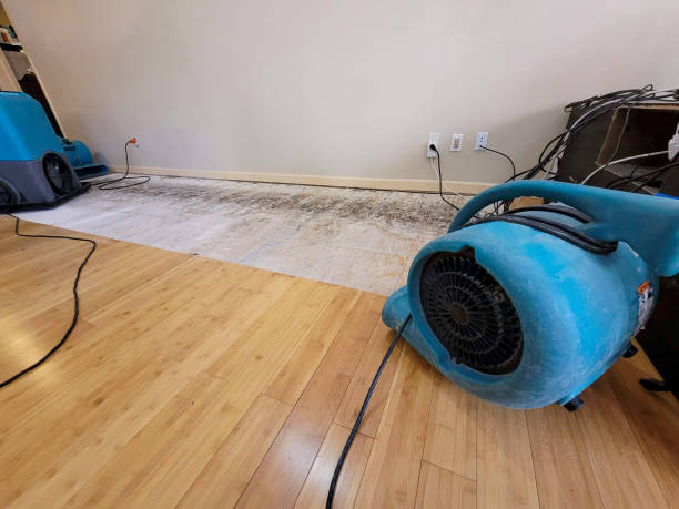 Professional Water Damage Repair technician working in Sunset, ME